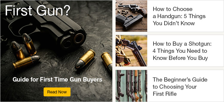 used gun dog equipment for sale